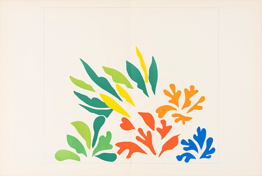 Acanthes by Henri Matisse